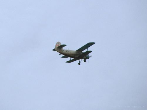 PZL Mielec An-2 Colt SP-WSK ZUA
