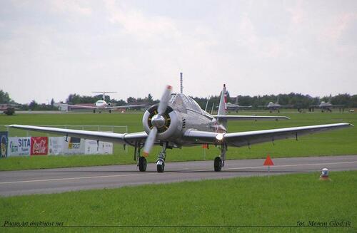 TS-8_Bies_SP-YSS_0921_08.JPG