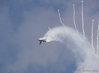 F-16AM_Fighting_Falcon_Hol_AF_J-055_06.jpg