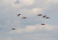 Patrulla_Aguila_10.JPG