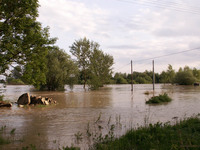 powodz_wisloki062006Mielec06.jpg