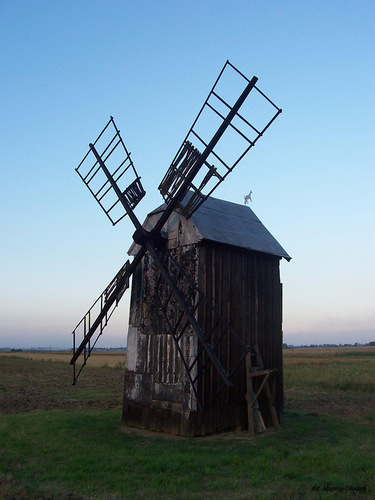 wiatrakTrzciana06.jpg