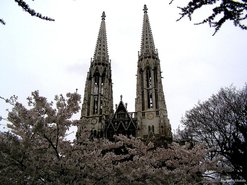 KatedraVotivkirche03.jpg