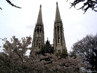 KatedraVotivkirche03.jpg