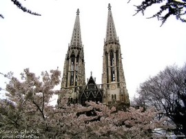 KatedraVotivkirche03~0.jpg