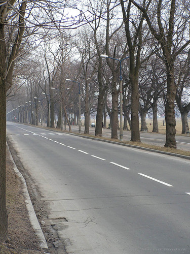 Ulice_KrakowaAl3maja12.jpg
