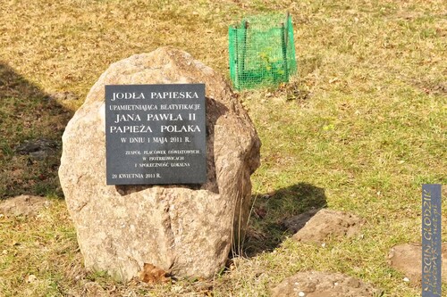 JodlaPapieskaPiotrowice01.jpg