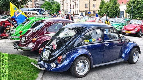 Vw_Garbus_05.jpg