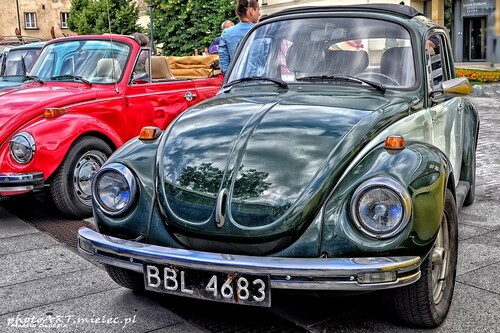 Vw_Garbus_130301.jpg