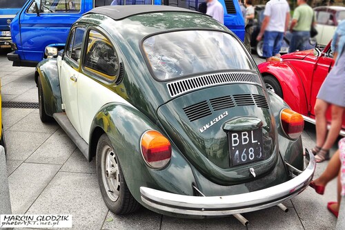 Vw_Garbus_130302.jpg