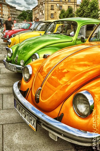 Vw_Garbus_21.jpg