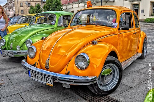 Vw_Garbus_28.jpg