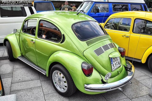 Vw_Garbus_35.jpg