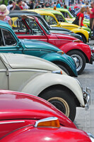 Vw_Garbus_03.jpg