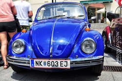 Vw_Garbus_07.jpg