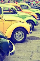 Vw_Garbus_08.jpg