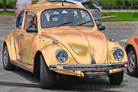 Vw_Garbus_11.jpg