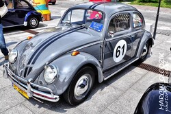 Vw_Garbus_1200196103.jpg