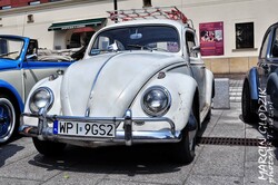 Vw_Garbus_130002.jpg