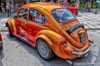 Vw_Garbus_130201.jpg
