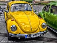 Vw_Garbus_130203.jpg