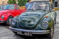 Vw_Garbus_130301.jpg