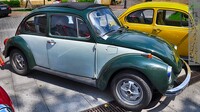 Vw_Garbus_130306.jpg