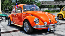 Vw_Garbus_130307.jpg