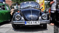Vw_Garbus_130309.jpg