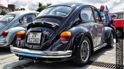 Vw_Garbus_1303S05.jpg