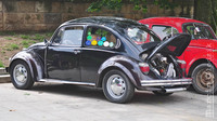 Vw_Garbus_16.jpg
