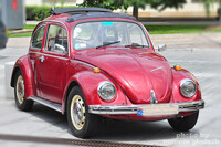 Vw_Garbus_17.jpg