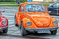 Vw_Garbus_19.jpg