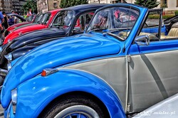 Vw_Garbus_20.jpg