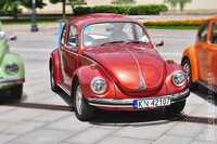 Vw_Garbus_24.jpg