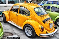 Vw_Garbus_31.jpg