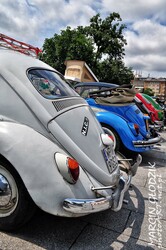 Vw_Garbus_33.jpg