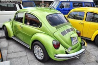 Vw_Garbus_35.jpg