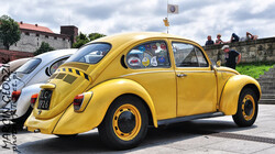 Vw_Garbus_39.jpg