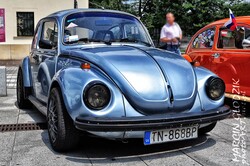 Vw_Garbus_42.jpg