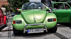Vw_Garbus_43.jpg