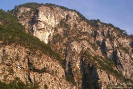 alpy03.jpg