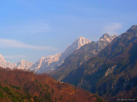 alpy07.jpg
