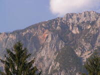 alpy_01.JPG