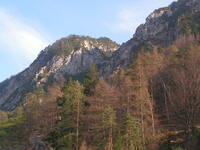 alpy_04.JPG