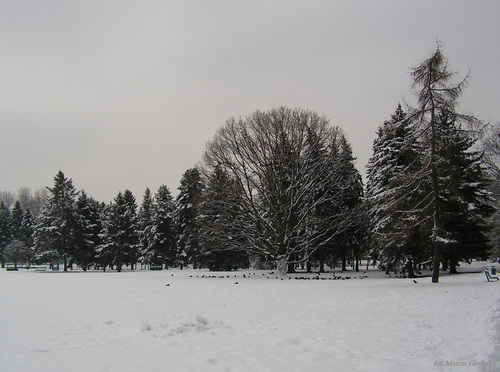 Park_Jordana_03.jpg