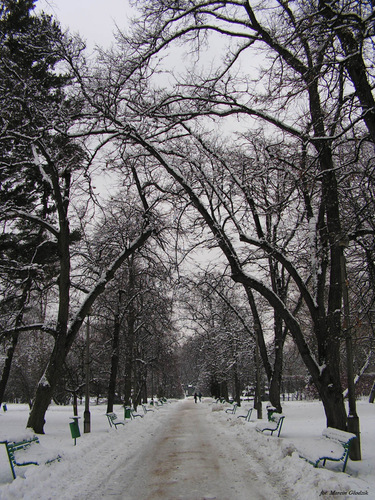 Park_Jordana_08.jpg