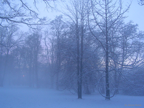 Park_Jordana_10.jpg