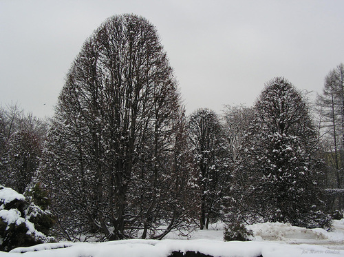 Park_Jordana_12.jpg