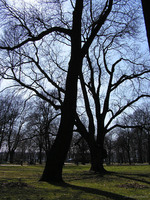 Park_Jordana_02.jpg